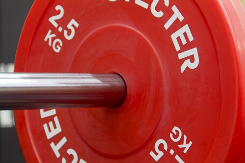 Технический диск для штанги 2,5 кг STECTER (D=450 мм, пластик) фото 3