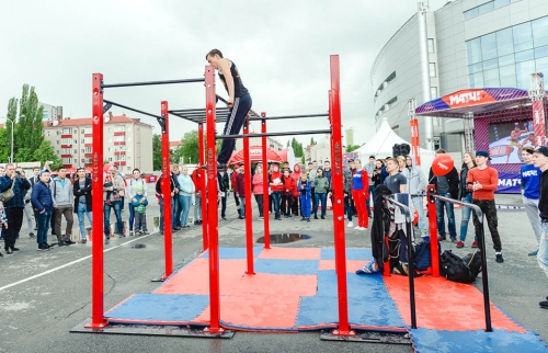 Мобильный комплекс для Воркаут "Стандарт-8" фото 7