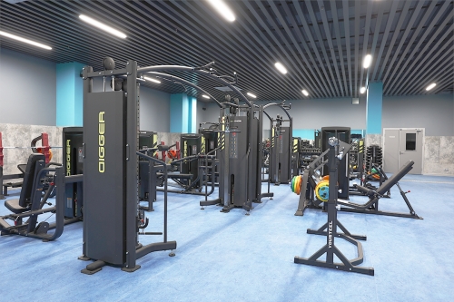 Кроссовер Hasttings Digger HD022-1 (HD024-1+HD024-1+HD023opt-1) фото 7 Кроссовер Hasttings Digger HD022-1 (HD024-1+HD024-1+HD023opt-1) фото 7