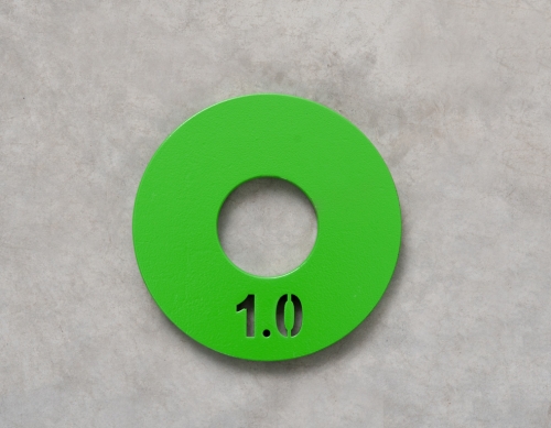 Диск тренировочный стальной 1,0 кг (пара)