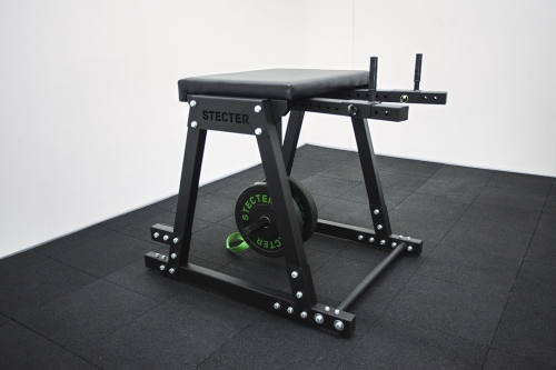 Обратная экстензия (Reverse Hyper)