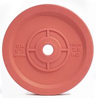 Технический диск для штанги 2,5 кг WERK SAN