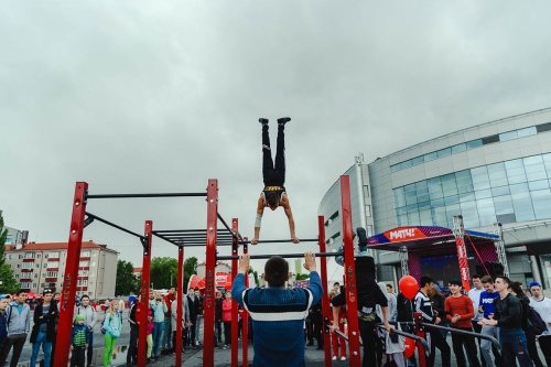 Мобильный комплекс для Воркаут "Стандарт-8" фото 6