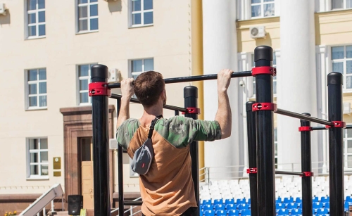 Мобильный комплекс для Воркаут "Профи-9" фото 2