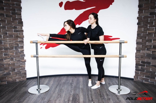 2-х уровневый мобильный (переносной) хореографический станок «Элегант» (нерж. сталь) фото 2