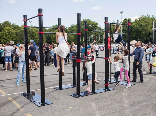 Мобильный комплекс для Воркаут "Профи-5" фото 4