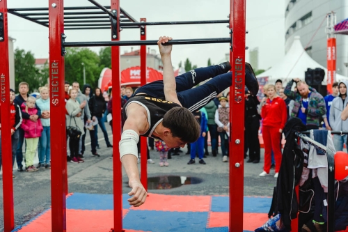 Мобильный комплекс для Воркаут "Стандарт-3" фото 3