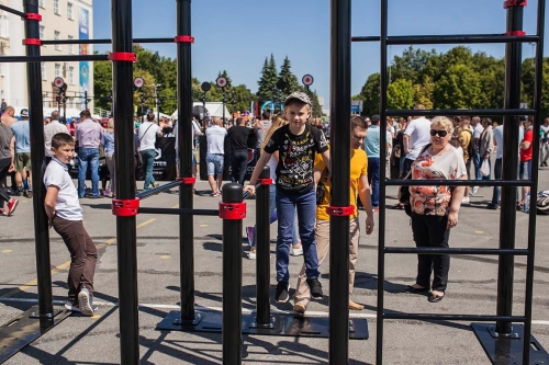 Мобильный комплекс для Воркаут "Профи-5" фото 3