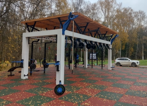 Уличный спортивный комплекс "Центр Силы" фото 3