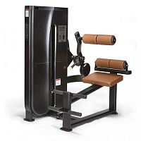 Разгибание спины LS-122