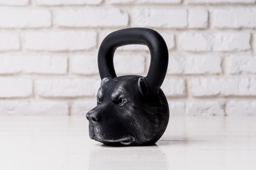 Дизайнерская гиря IRONHEAD "Питбуль" 16 кг фото 5