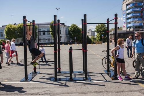Мобильный комплекс для Воркаут "Профи-5" фото 2