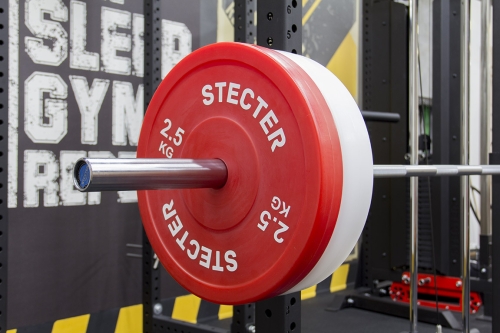 Технический диск для штанги 2,5 кг STECTER (D=450 мм, пластик) фото 2