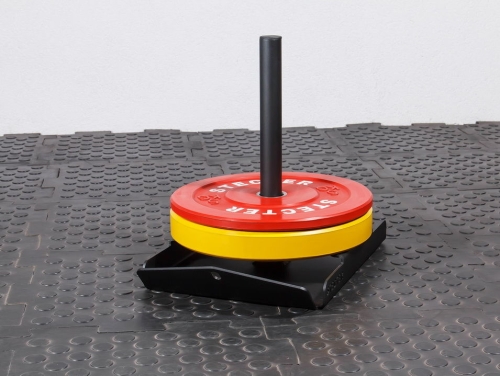 Сани Монолыжа фото 3