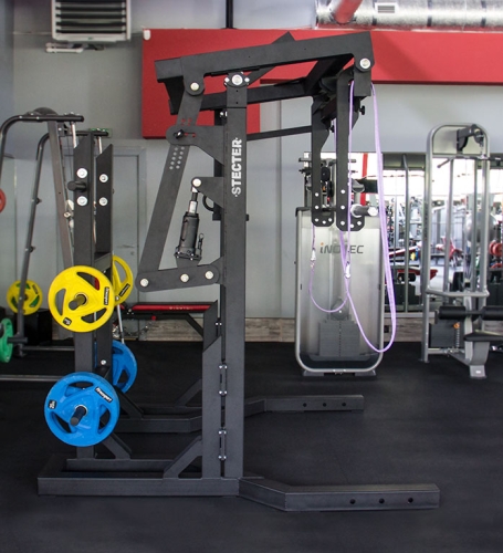 Монолифт для пауэрлифтинга STECTER (с хранением дисков) фото 2