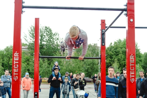 Мобильный комплекс для Воркаут "Стандарт-11" фото 3