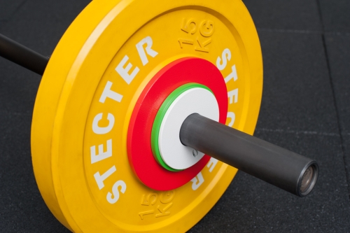 Диск тренировочный стальной 2,5 кг (пара) фото 3