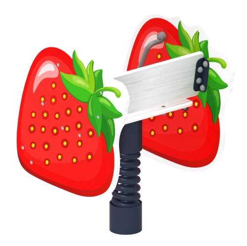 Клубника - Качалка на пружине - ИО 22.01.15 фото 3