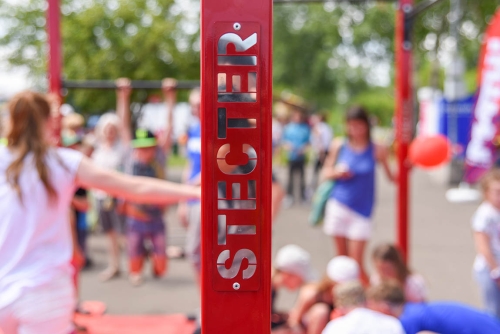 Мобильный комплекс для Воркаут "Стандарт-3" фото 4