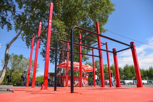 Мобильный комплекс для Воркаут "Стандарт-8" фото 3