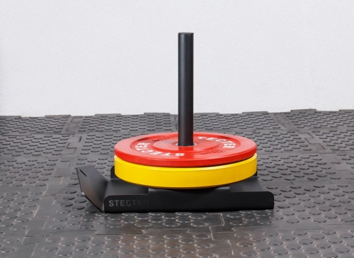 Сани Монолыжа фото 4