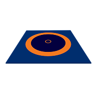 Борцовский ковер "ПРОФИ" (толщина 50 мм, крепление - карман)